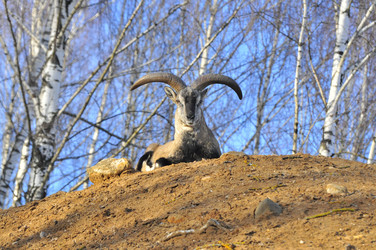 Similar image 22189965