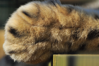 Similar image 22189970