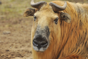 Similar image 22189972