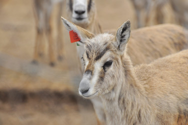 Similar image 22189973