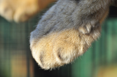 Similar image 22189974