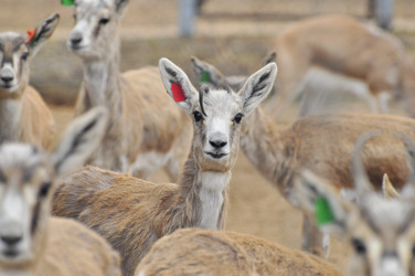 Similar image 22189975