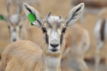 Similar image 22189977