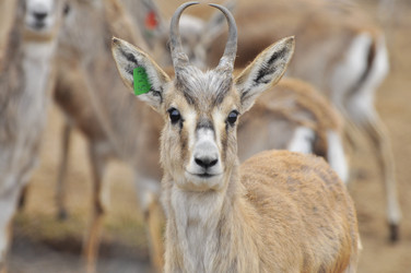 Similar image 22189979