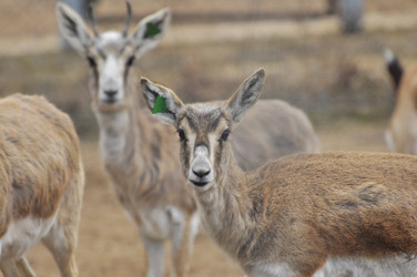 Similar image 22189981