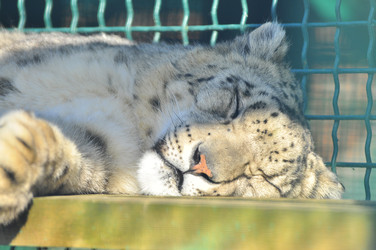 Similar image 22189982