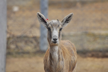 Similar image 22189983