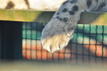 Similar image 22189984