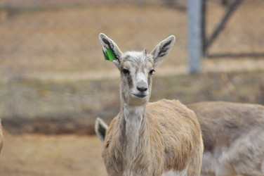 Similar image 22189985