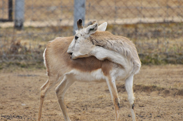 Similar image 22189988