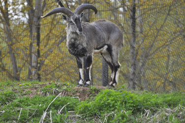 Similar image 22189989