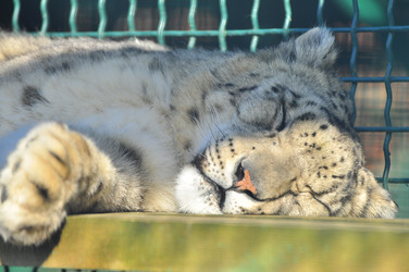 Similar image 22189990