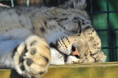 Similar image 22189991