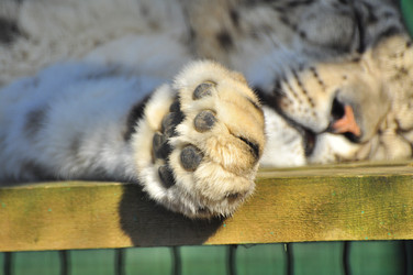 Similar image 22189992