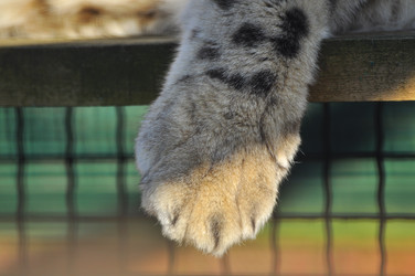 Similar image 22189993