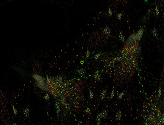 Similar image 22192004