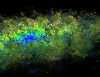 Similar image 22192258