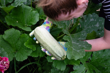 Similar image 22188722