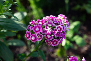 Similar image 22188724