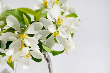 Similar image 22188729