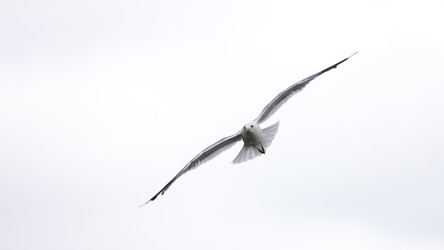 Similar image 22188731