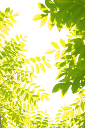 Similar image 22188732