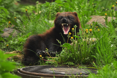 Similar image 22189997