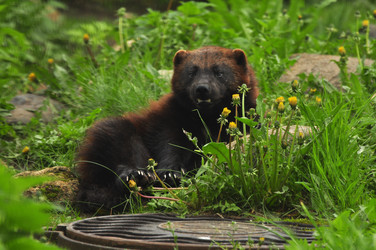 Similar image 22189998