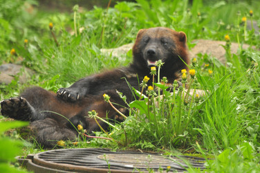 Similar image 22189999