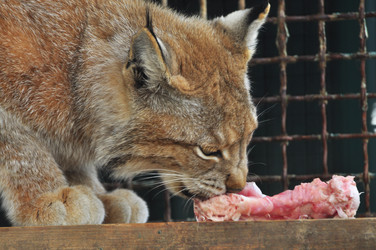 Similar image 22190000