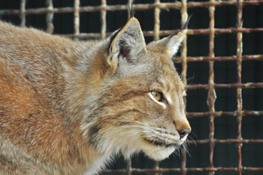 Similar image 22190001