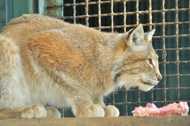 Similar image 22190002