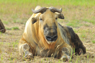 Similar image 22190003