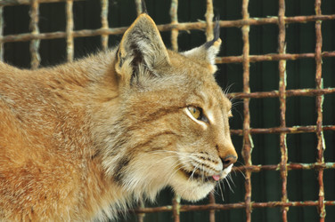 Similar image 22190005