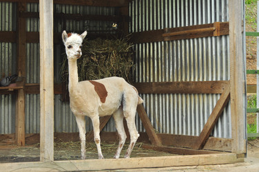 Similar image 22190006