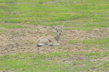 Similar image 22190007