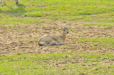 Similar image 22190259