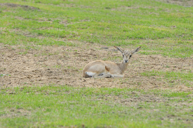 Similar image 22190260