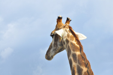 Similar image 22190261