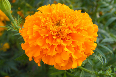 Similar image 22189046