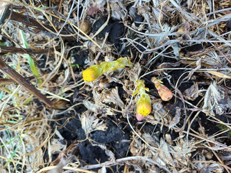 Similar image 22187702