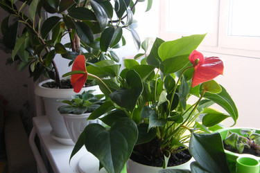 Similar image 22187796