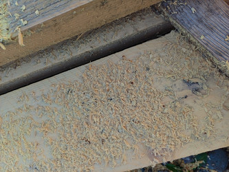 Similar image 22187798