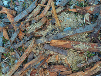 Similar image 22187803