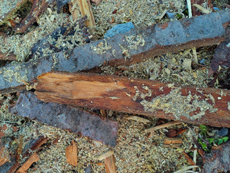 Similar image 22188646