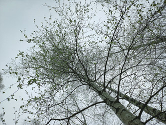 Similar image 22188650