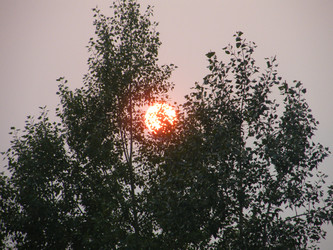 Similar image 22188654