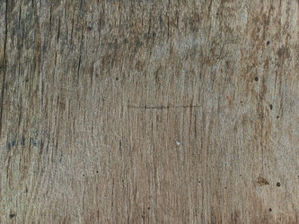 Similar image 22188655