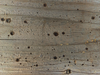 Similar image 22188659