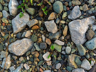 Similar image 22188660